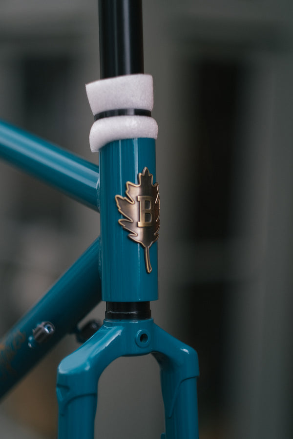 Brother Kepler Frameset 2025 - Teal Is Real