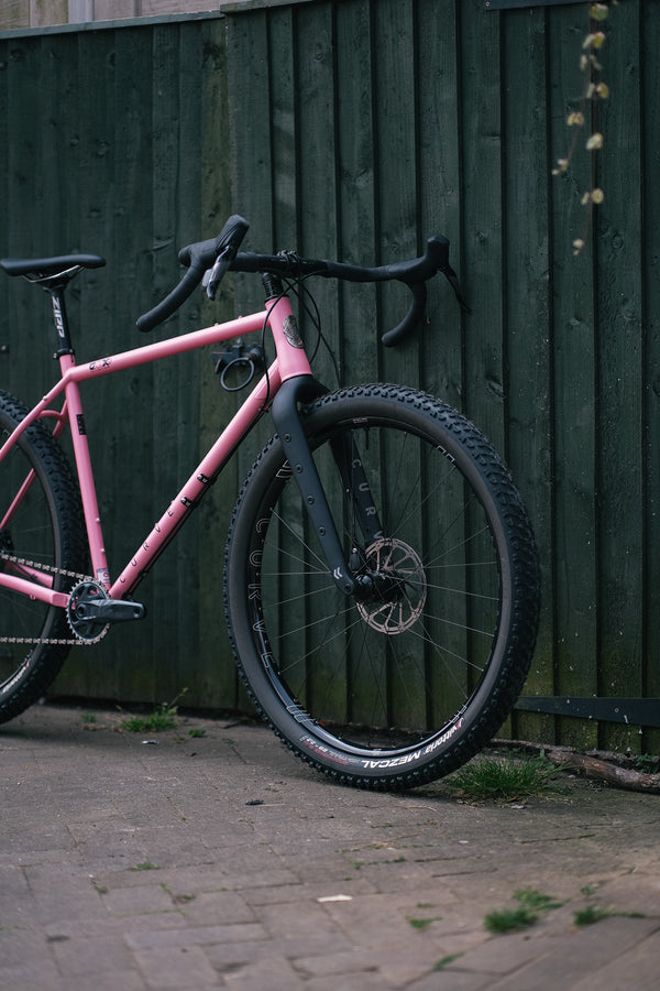 Curve GMX+ Steel Dynamo Build - Pink Roadhouse