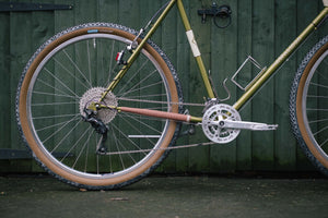 Rivendell Joe appaloosa for Ant-8.jpg