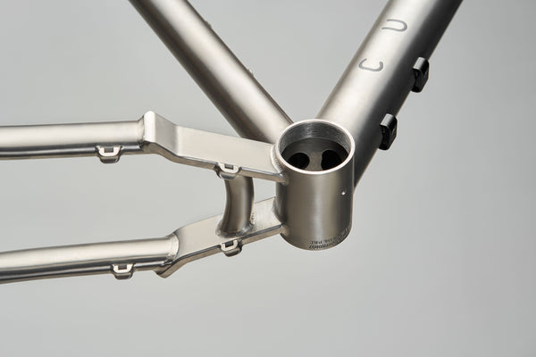 Curve GMX+ Titanium Frameset