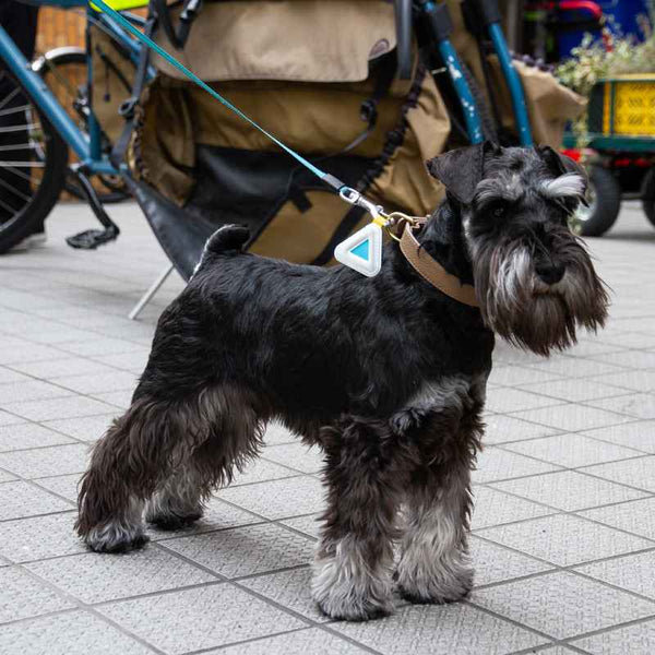 Blue Lug Mini Triangle Reflector - Assorted