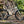 Surly Karate Monkey Frameset - Snow Mold White