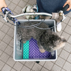 Blue Lug Puff Seat