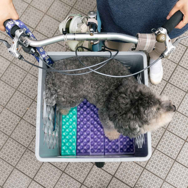 Blue Lug Puff Seat