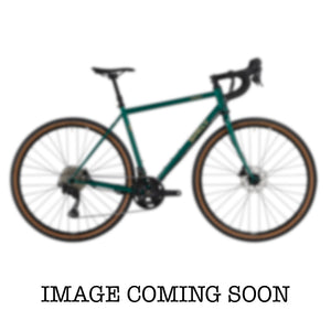Surly Straggler V2 GRX - Subtropic Algae