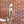 Stayer Groadinger UG Frame - How Now