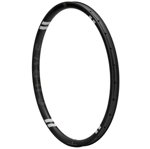 Curve Dirt Hoops Carbon Rim
