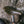 Brooks x The Woods Cyclery B17 Special Saddle - Moss Green