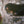 Brooks x The Woods Cyclery B17 Special Saddle - Moss Green