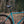 Brother Mehteh Frameset - Blue Lagoon