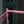 Curve GMX+ Steel Frameset - Pink Roadhouse