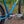 Brother Pine Cone Frameset