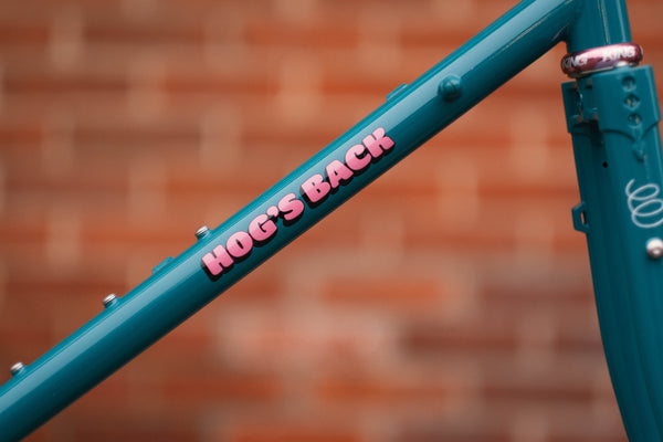 Bassi Hog's Back Frameset - Blue