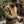 Passenger Offgrid 1/2 Zip Recycled Sherpa Fleece