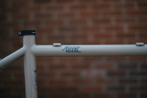Ritchey Ascent Frameset - Desert Dust