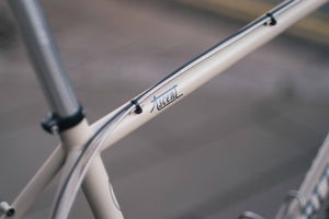 Ritchey Ascent for Ian-5.jpg