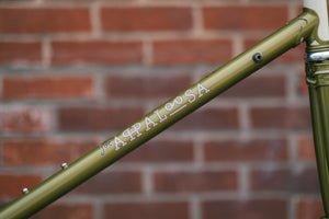 Rivendell Joe Appaloosa Frameset - Lime Olive