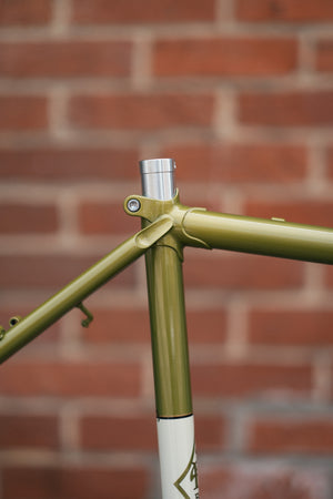 Rivendell Joe Appaloosa Frameset - Lime Olive