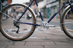 Rivendell Joe Appaloosa for Andy-14.jpg