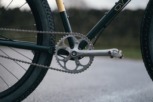 Singular Peregrine - Jude -14.jpg