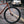 Surly Straggler V2 CUES - Shaggy Carpet