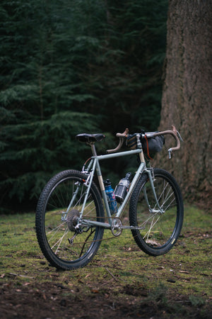 Toms hillborne woods 12-03-26-17.jpg