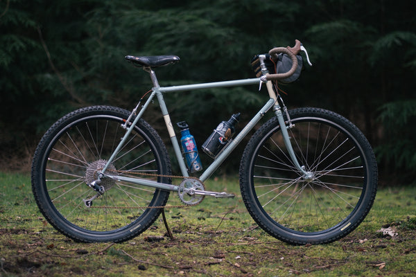 Toms hillborne woods 12-03-26-19.jpg