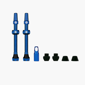 https://cdn.thewoodscyclery.co.uk/wp-content/uploads/2021/10/03133536/Web_BLUE_TUBELESS_PRESTA_VALVE__PAIR__2021_503d4a18-dc2d-4f80-b75e-526cc8aacec0_850x850_crop_center.jpg.webp