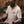 Brother X The Woods Cyclery 'In The Wild' T-Shirt - Cream