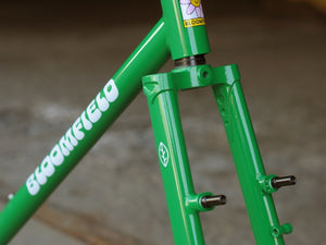 Bassi Bloomfield Frameset V2 - Green
