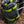 Old Man Mountain Cargo Straps