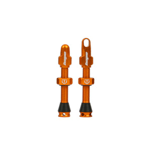 Hope Tubeless Valve - Pair